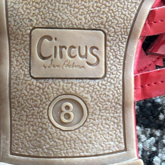 ***FINAL MARKDOWN***Circus by Sam Edelman “Canyon” thongs - Picture 6 of 7